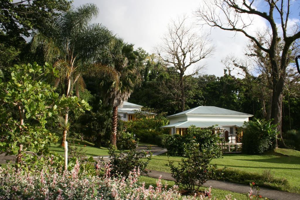 Les Cycas Maison d'hôtes *