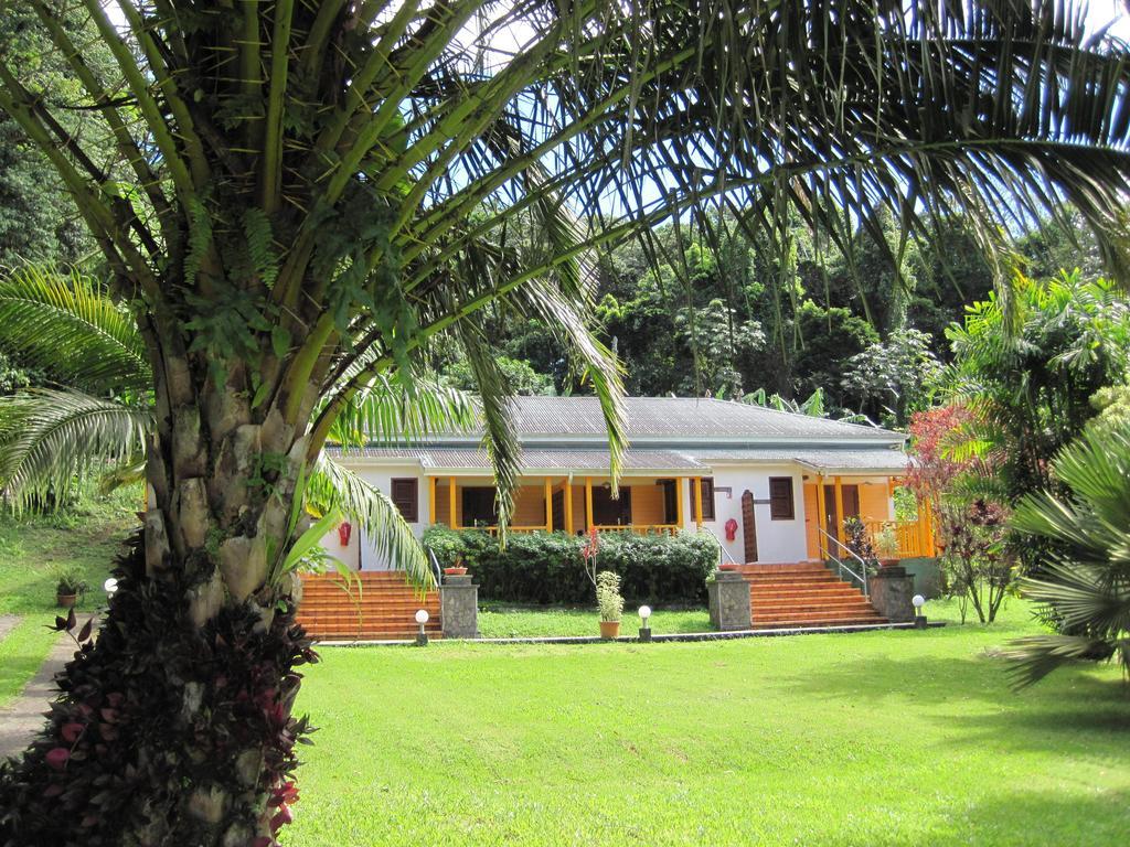 Les Cycas * Saint-Claude